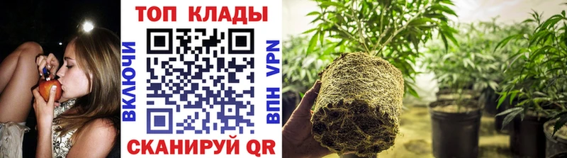 Цена Гусь-Хрустальный Cocaine  kraken зеркало  Галлюциногенные грибы  МЕФ  Бошки Шишки  СОЛЬ 