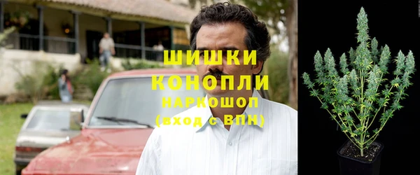 прущие крисы Гусев