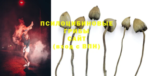 мескалин Гусь-Хрустальный