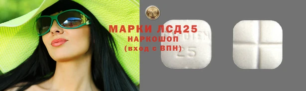 прущие крисы Гусев