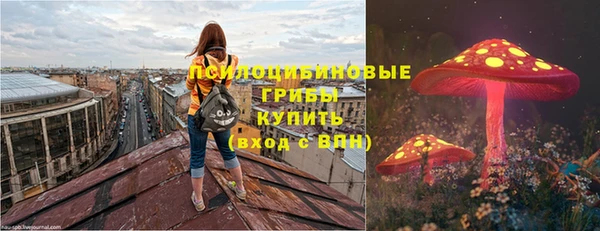 Альфа ПВП Горно-Алтайск