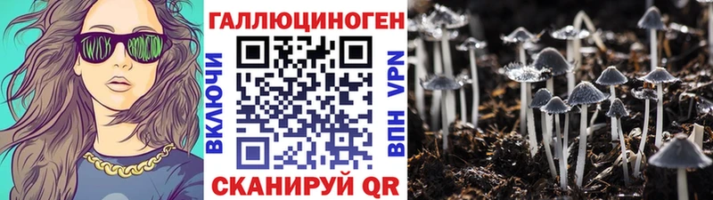 наркотики  Гусь-Хрустальный  Псилоцибиновые грибы MAGIC MUSHROOMS 